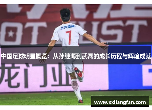 中国足球明星概览：从孙继海到武磊的成长历程与辉煌成就